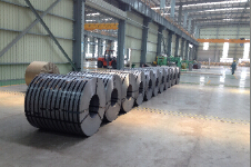 ��ϴ����